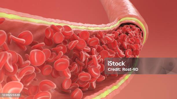 Cross Section Artery View Red Blood Cells Inside An Artery Vein Healthy Blood Flow Scientific And Medical Concept Transfer Of Important Elements In The Blood To Protect The Body 3d Illustration Stock Photo - Download Image Now