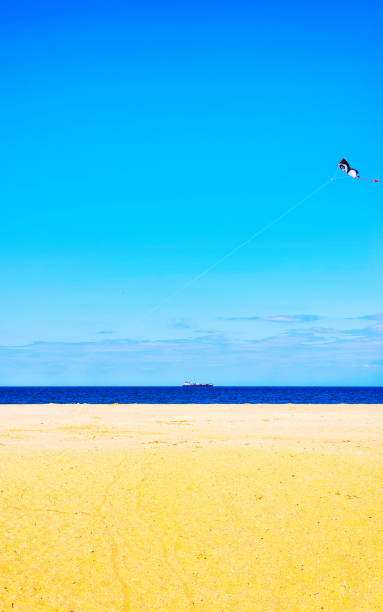 istock Child and Paper Kite above Atlantic Ocean shore Sandy Hook reflex 1220223364