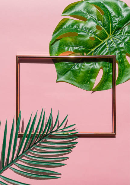 istock Trendy summer tropical leaves foliage plant close up with box frame copy space 1220223373