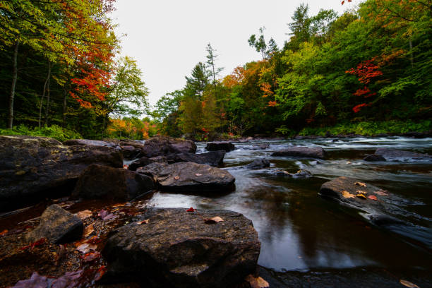 istock Streaming water in an autumn landscape 1220223675