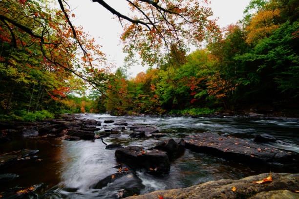 istock Streaming water in an autumn landscape 1220223688
