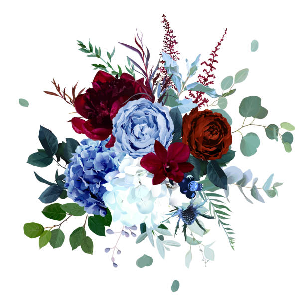 Royal blue, navy garden rose, white hydrangea, burgundy red peony flowers Royal blue, navy garden rose, white hydrangea, burgundy red peony flowers, orchid, anthurium, thistle, eucalyptus, berry vector design wedding bouquet. Floral watercolor style. Isolated and editable blue flowers stock illustrations
