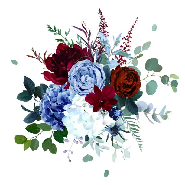 Vector illustration of Royal blue, navy garden rose, white hydrangea, burgundy red peony flowers