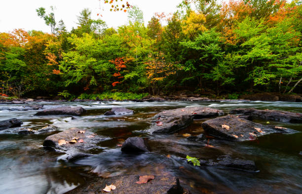 istock Streaming water in an autumn landscape 1220223718