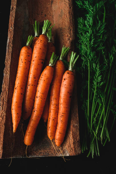 homegrown carrots. - table ingredient gardening agriculture imagens e fotografias de stock