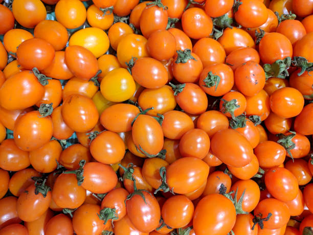 istock small orange tomatoes in the supermarket 1220237057