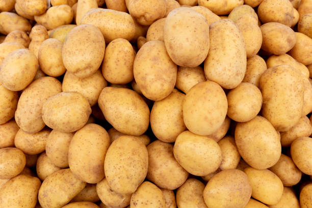 patate fresche nella cabina del mercato - ricette di patate foto e immagini stock