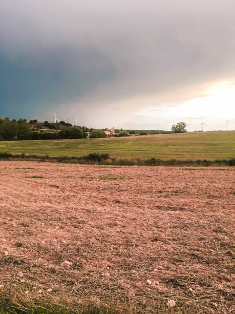 istock mowed field with house and windmills in the background 1220242677