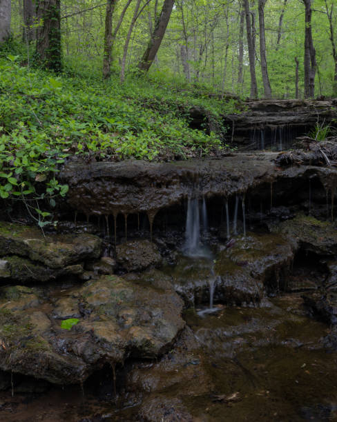 istock Two Waterfalls and Green Plants 1220244778