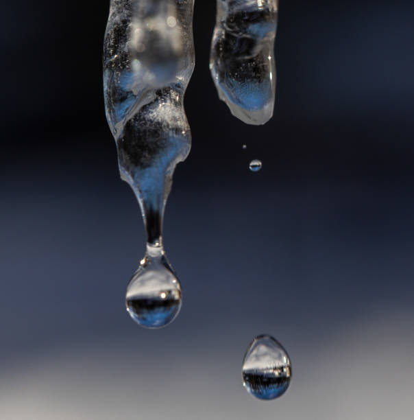 Spring Thaw Icicle Droplets Spring Thaw Icicle Droplets, Higgins Lake Michigan icicles melting stock pictures, royalty-free photos & images