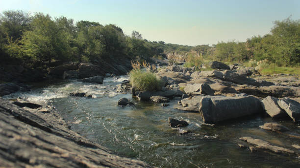 River with rocky beaches on the sides, surrounded by a green forest and a clear sky during the summer in Córdoba Province, Argentina