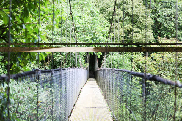Hanging bridge at The Mistico Arenal Hanging Bridges Park, La Fortuna, Alajuela, Costa Rica stock photo