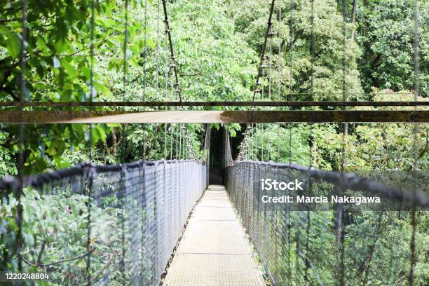Hanging Bridge At The Mistico Arenal Hanging Bridges Park La Fortuna Alajuela Costa Rica Stock Photo - Download Image Now