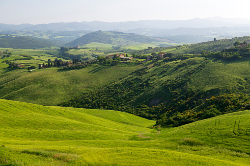 Rolling hill near Volterra in the province of Siena, Tuscany, Italy.