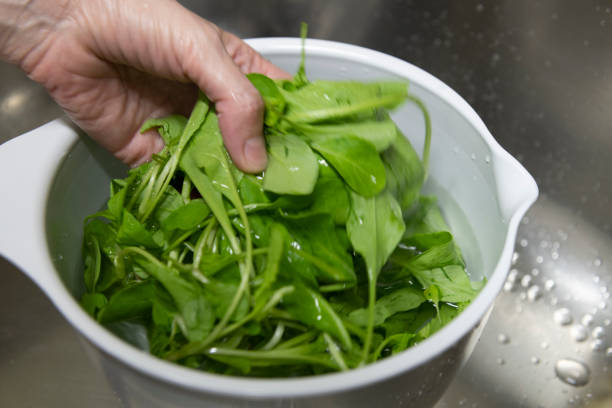 istock Cleaning leaf vegetables during the coronavirus pandemic outbreak 1220250431