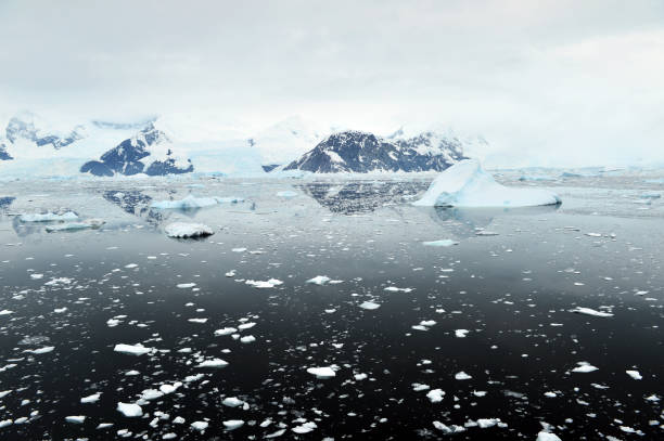 istock reflecting landscape in the south on Earth 1220252448
