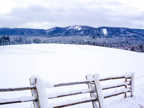 istock Winter in Germany 03 / Bavaria / Europe 1220255794