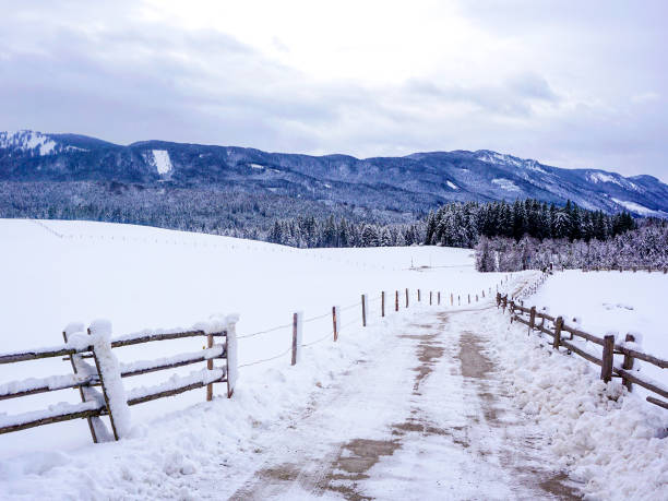 istock Winter in Germany 01 / Bavaria / Europe 1220255798