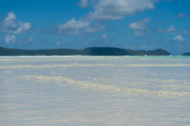 Close up photo of a small wave breaking on a beach
