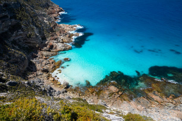 istock The Wild South Coast 1220259525