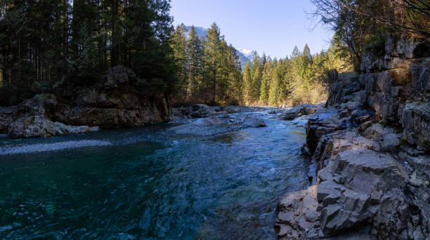 Canadian Nature Beautiful Panoramic View of the river in the Canadian Mountain Landscape during a sunny winter day. Taken in Golden Ears Provincial Park, near Vancouver, British Columbia, Canada. alouette lake stock pictures, royalty-free photos & images