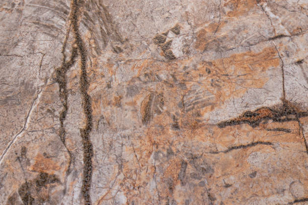 istock Wall texture with cracks and scratches that can be used as background. Background image of the stone surface. Background. An old and worn wall. It can be used for interior-exterior home decor 1220267838