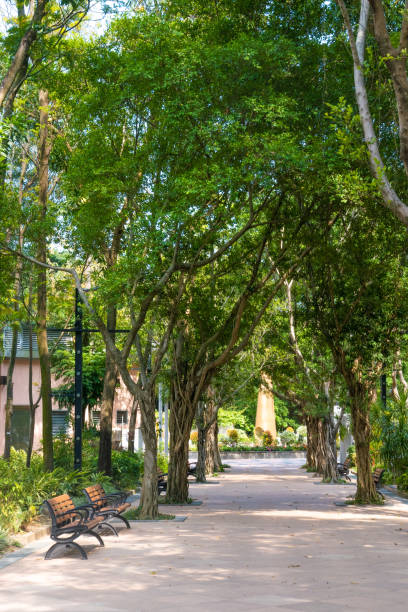 istock Tai Po Waterfront Park 1220268560