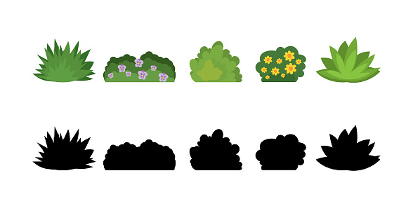 Set of cartoon bushes in flat style. Collection green plants and black silhouettes, isolated on white background. Elements of natural flora. Different type of shrubs with flowers. Vector illustration
