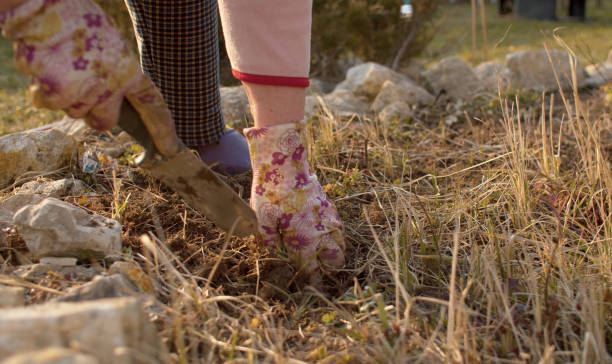 istock Senior woman working in the garden 1220270105