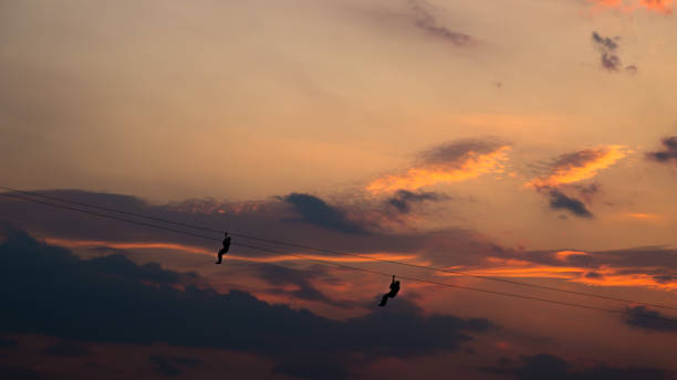 The scenery of the silhouette of the men hanging on the zip line in sunset time. stock photo