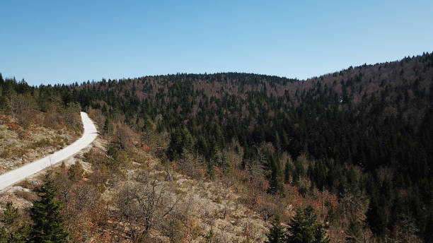 istock Amazing landscape spring view from drone 1220272892