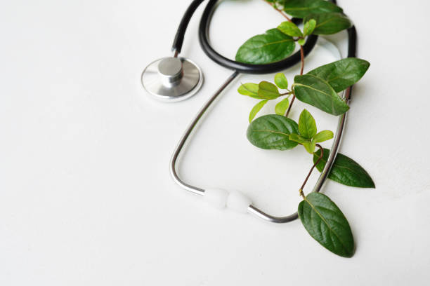 istock Stethoscope or phonendoscope with greenery on white textured background with a copy space 1220274304