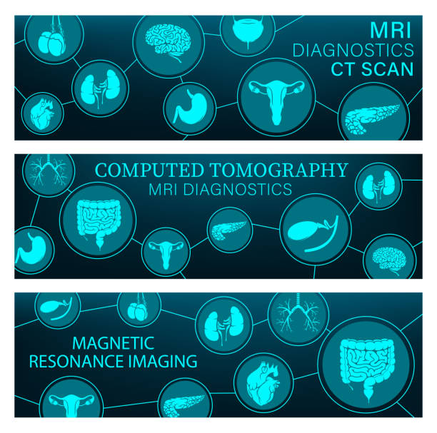 MRI diagnostics and CT scan medical banners MRI diagnostics and CT scans of organs, brain and heart vector banners of diagnostic medicine. Magnetic resonance imaging and computed tomography scans of kidneys, bladder, uterus and testicles male reproductive system cross section stock illustrations