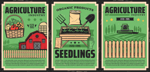 przemysł rolniczy, agronomia rolnicza - grace stock illustrations