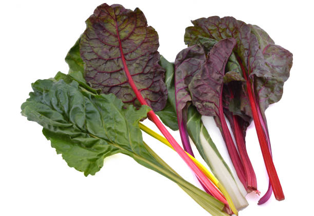 istock fresh rhubarb isolated on white 1220280684