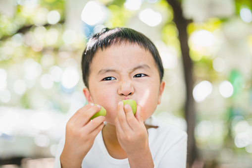 Asian boy eating grapes which they just picked up from trees.