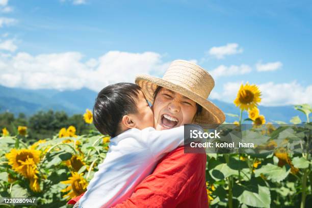 母と息子は太陽の花畑でリラックス