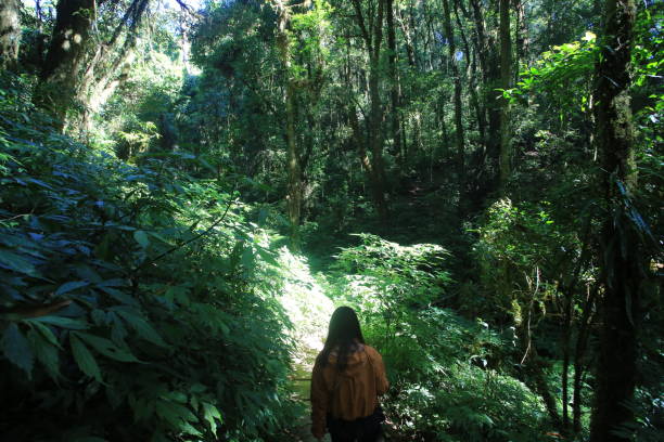 istock woman hiking on the way 1220282222