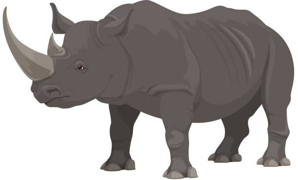 Rhinoceros, African safari zoo, hunt wild animal Rhinoceros wild animal vector isolated icon. African safari zoo and savanna hunt trophy rhinoceros tusk stock illustrations