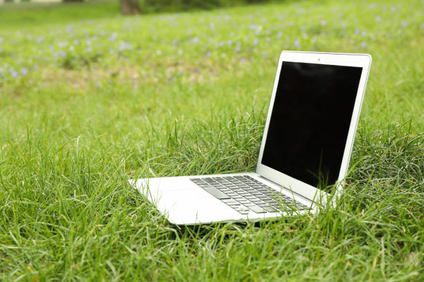 istock Laptop on green grass in park. Working outdoor 1220284787