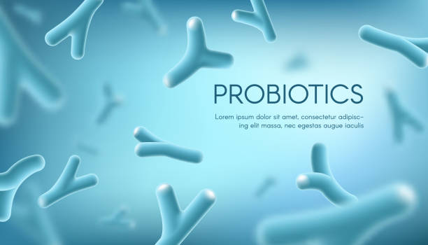 Probiotics lacto bacteria healthy nutrition Probiotics lacto bacteria, healthy nutrition and digestion healthcare vector concept. Probiotcis lactobacillus acidophilus bacteria cells on blue background for prebiotic food package bifidobacterium stock illustrations