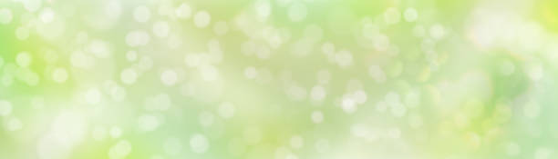 bokeh-effekt auf grünem, gelbem hintergrund. abstrakte verschwommene bunte flecken, weiches sonnenlicht. sommer, frühlingsdesign für web-banner, website, broschüre, flyer - green backgrounds textured dirty stock-grafiken, -clipart, -cartoons und -symbole