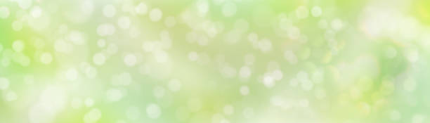 ilustrações, clipart, desenhos animados e ícones de efeito bokeh em um fundo verde e amarelo. manchas multicoloridas embaçadas abstratas, luz solar macia. verão, design de primavera para banner web, site, folheto, folheto - green backgrounds textured dirty