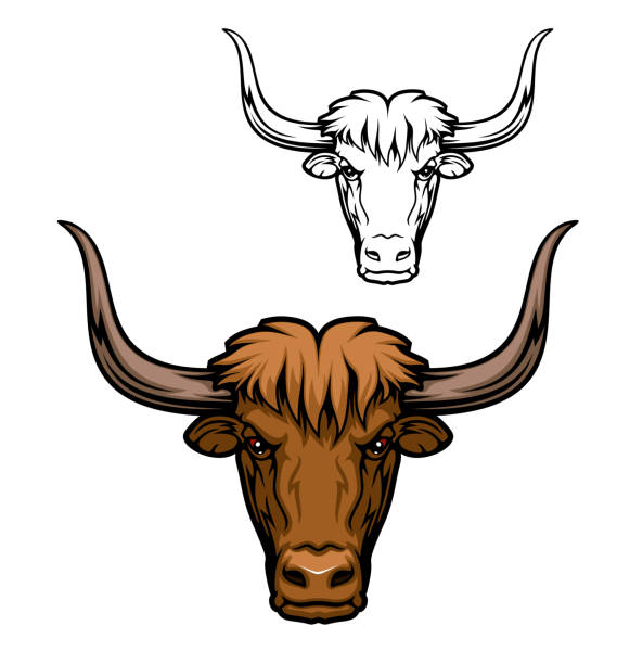 illustrations, cliparts, dessins animés et icônes de mascotte de tête d’animal de yak du taureau brun de boeuf - bull eye