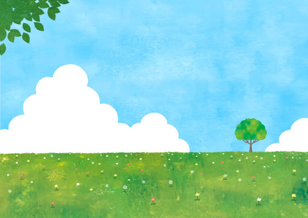 ilustrações, clipart, desenhos animados e ícones de campo de grama sumer e uma árvore - sky