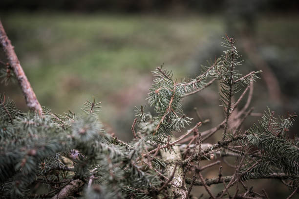 istock Landscapes in Germany 1220286424