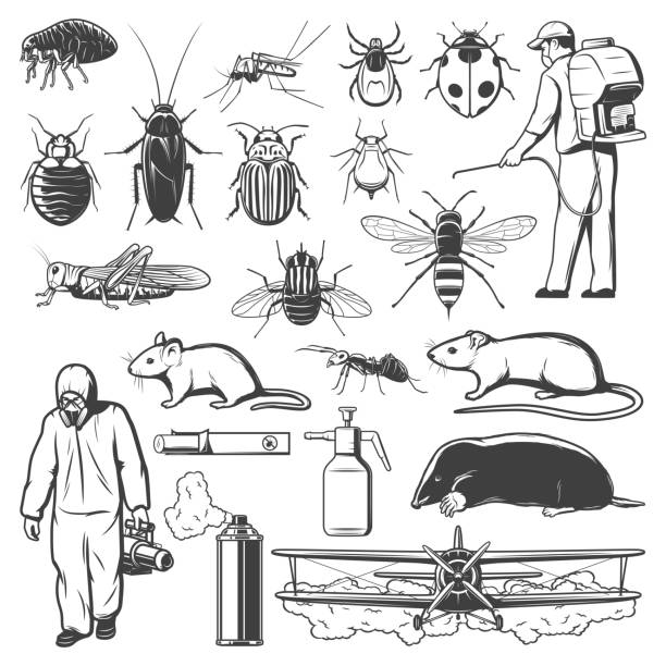 Pest control exterminator, insect and rodent icons Pest control sketches with insects, insecticide, rodent and exterminators. Mosquito, cockroach, ant and fly, pesticide spray, rat and mite or tick, spider, termite and mouse, flea, mole, grasshopper fly insect stock illustrations