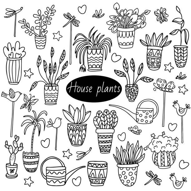 Houseplant set doodle. Houseplant set with watering cans, decorative figure sticks, potted plants. Birds, dragonflies, butterflies. Vector hand drawn illustration in doodle style isolated on white. Great for coloring books. spider plant animal stock illustrations