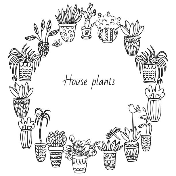Round frames with houseplants doodle. Round frames with houseplants in pots decorated with ornaments on white background. Decorative butterflies, dragonflies and birds. Doodle style illustration in black ink. chlorophytum comosum stock illustrations