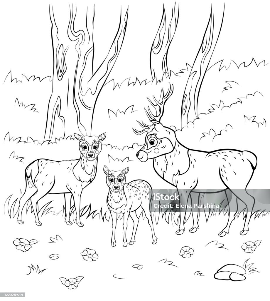 Ilustración de Esquema De La Página Para Colorear De La Familia De Ciervos De Dibujos Animados Lindos Imagen Vectorial De Ciervo Macho Doe Femenino Y Poco Cervatillo Con Fondo Natural Libro Para Ilustración de Esquema De La Página Para Colorear De La Familia De Ciervos De Dibujos Animados Lindos Imagen Vectorial De Ciervo Macho Doe Femenino Y Poco Cervatillo Con Fondo Natural Libro Para